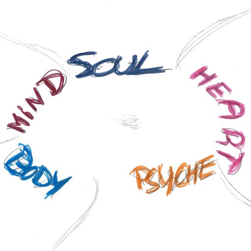 How I draw my virtual&nbsp;gardens